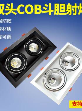 led嵌入式格栅灯双头连体斗胆灯