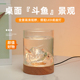 创意斗鱼缸小型高级感造景桌面观赏小夜灯装 饰玻璃缸