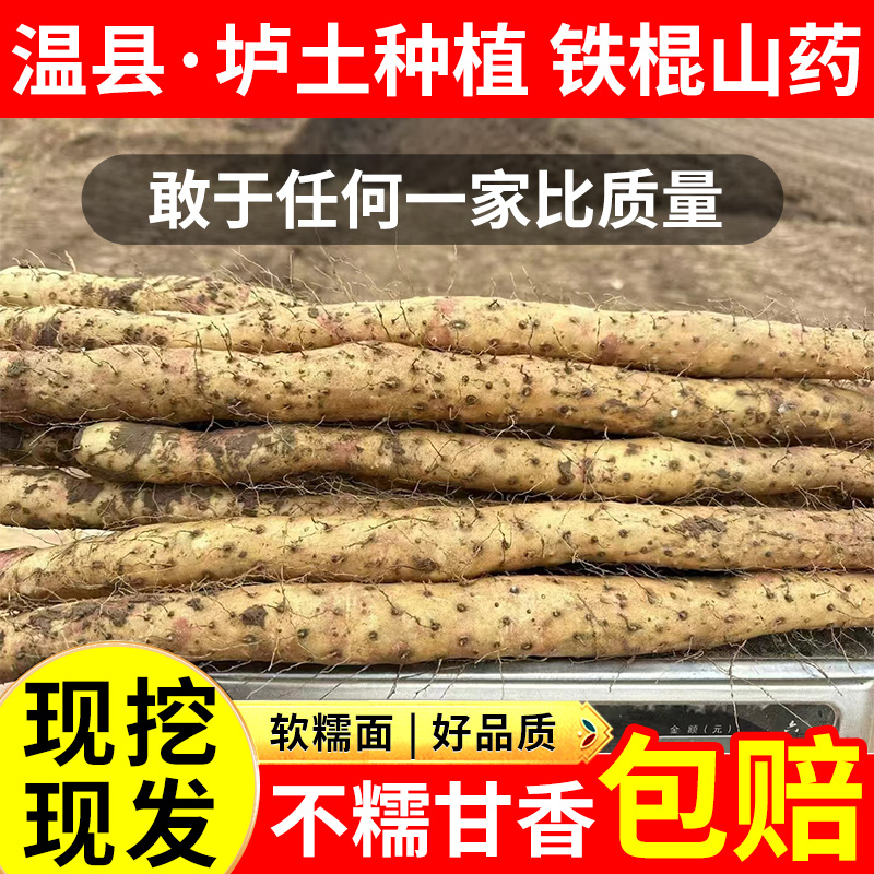 【软糯甘香】正宗垆土铁棍怀山药新鲜粉糯甘香，河南焦作温县直发