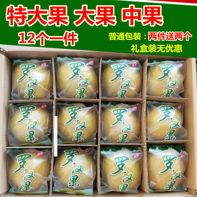 正品低温脱水冻干黄金永福罗汉果