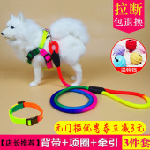 狗狗牵引绳宠物项圈猫咪牵引绳泰迪狗绳子中型小型犬胸背带狗链子
