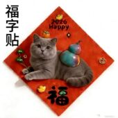爆款 蓝猫美短蓝白橘猫布偶福字2026家居墙上不干胶贴纸