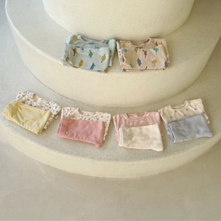 宝宝小熊恐龙家居服磨毛棉弹力内衣套装 A类 BabyWe韩代童装 Lovin