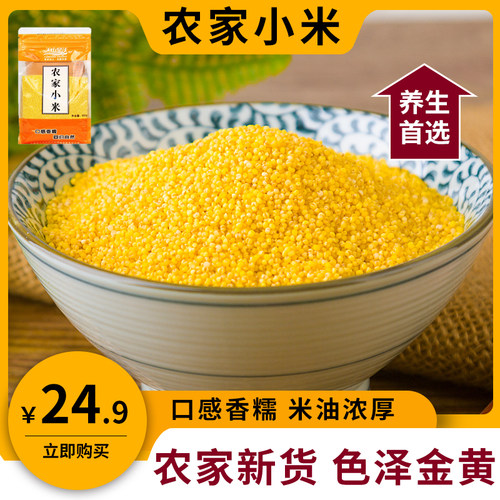 新疆特产天山旱沃农家糯黄小米油新米熬粥杂粮粗粮小米粥粘糯食用