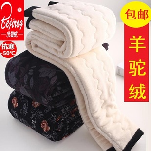 羊羔绒保暖裤棉裤女中老年加厚高腰妈妈外穿加绒东北冬羊驼绒裤子