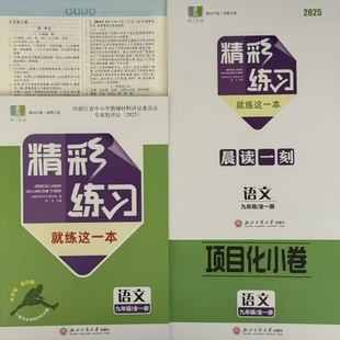学校同款2025新版精彩练习就练这一本语文九年级全一册人教版晨读一刻项目化小卷浙江工商大学出版社
