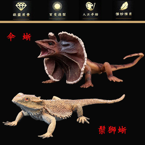 儿童实心爬行动物玩具模型仿真鬃狮蜥 伞蜥 蜥蜴 四脚蛇 整蛊玩具 - 封面