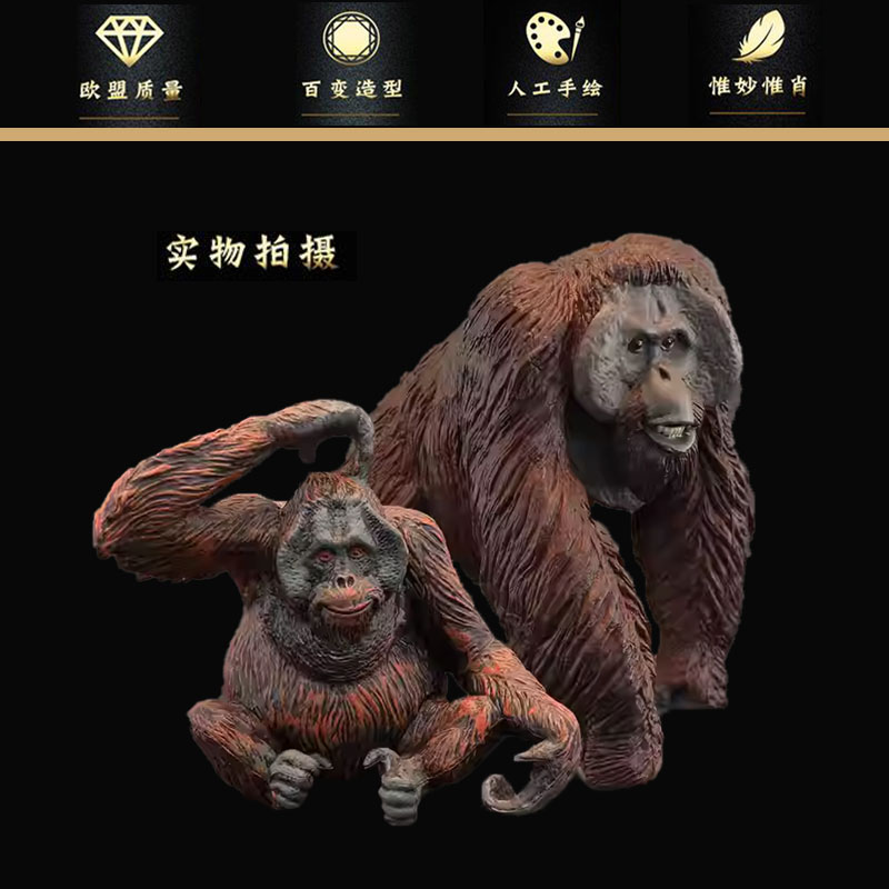 婆罗洲猩猩红毛猩猩欧盟品质