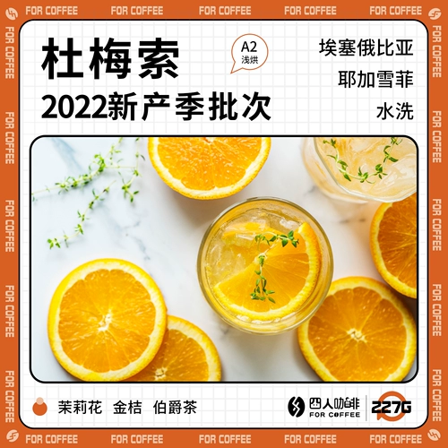 2024 New Season Airabon, чем четырех -лиц Mountain Camellia Ethiopian мелководная пекарня, ручная кофейные зерна 227G
