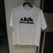 安踏男士运动休闲短袖T恤2025年夏季新款圆领棉质宽松版172528115