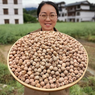 25年新货去芯带皮红莲子干货农家湘莲有芯磨皮白莲500g无硫熏粉糯
