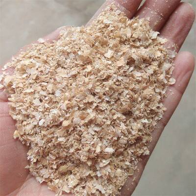 小麦麸麸子粗细野钓钓鱼