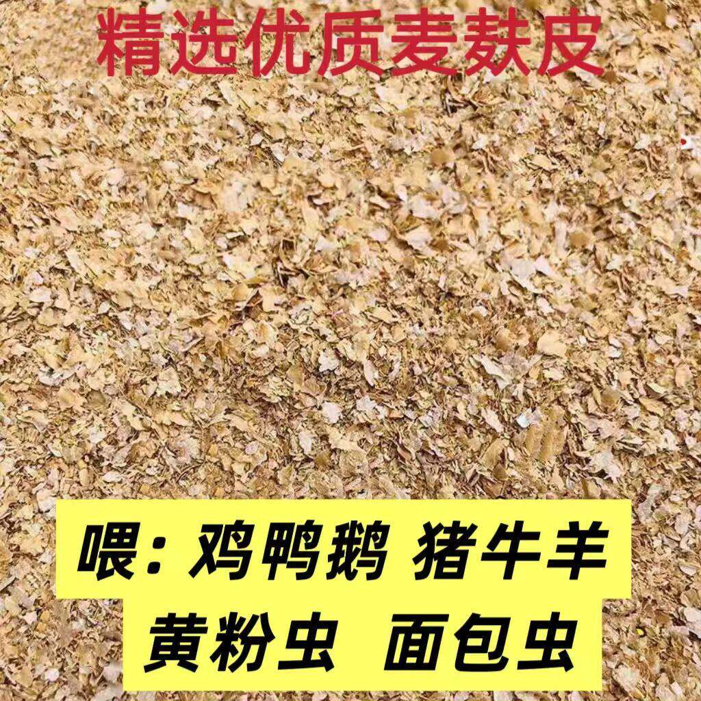 麦麸优质新鲜混合皮钓鱼