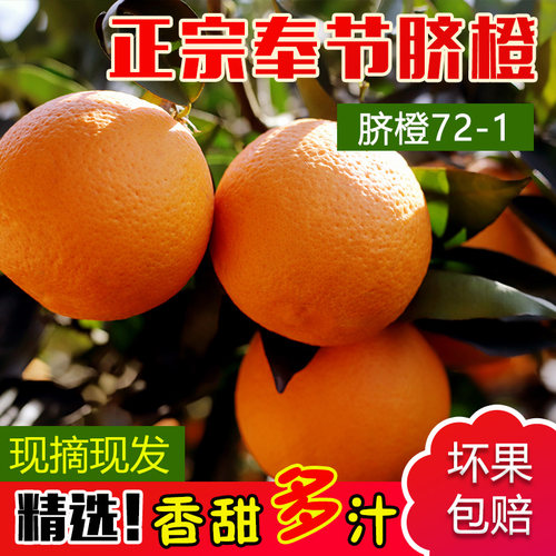 （老品种72-1）奉节脐橙现摘现发多汁孕妇新鲜应季水果橙子顺丰