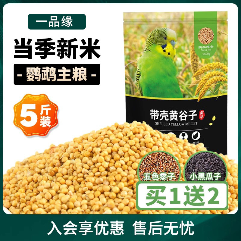 鹦鹉天空中小型鹦鹉无壳粮饲料鸟食混合鸟粮饲料含蛋黄粉滋养丸