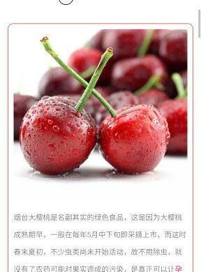 Accessoire coiffure - Ref 1205456 Image 4