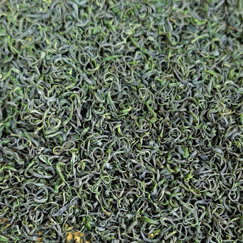 2026高山绿茶新春茶浓香茶叶豆香明前龙三香茶250g日照足炒青绿茶