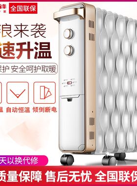 先锋热浪电油汀取暖器家用DS1555节能暖气电暖器片14片CY55MM-15