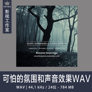 Bluezone Corporation可怕的氛围和声音效果WAV