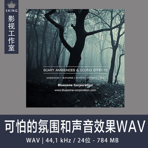 Bluezone Corporation可怕的氛围和声音效果WAV