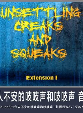 SoundBits令人不安的吱吱声和吱吱声 - 扩展我WAV