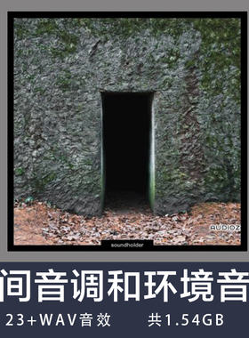 Soundholder Bunkers 世界大战旧避难所内录制的房间音调环境音效