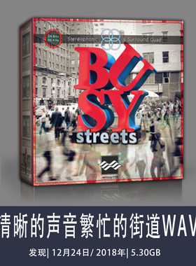 Articulated Sounds清晰的声音繁忙的街道WAV-DISCOVER