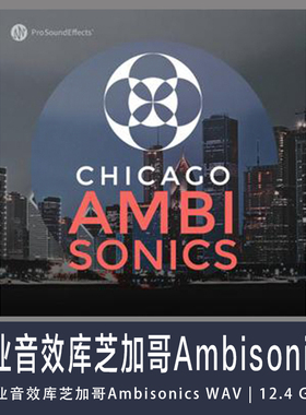 专业音效库芝加哥Ambisonics WAV