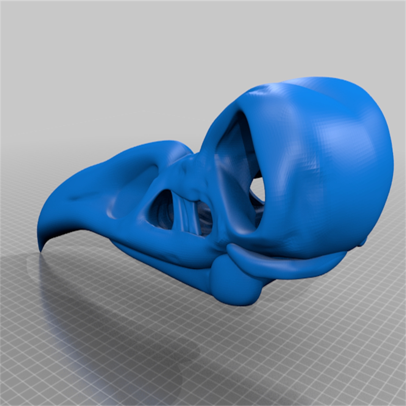 鸟类动物鸟头骨标本鹰鸟头颅三维立体圆雕stl文件3D打印模型素材图片