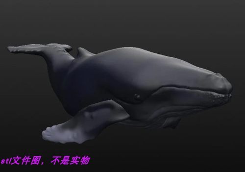 鲸鱼鲨鱼鱼类海洋生物装饰三维立体stl机雕文件图3D打印模型玩具