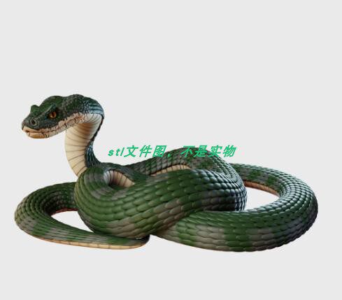 蛇眼镜蛇龙蛇蟒蛇动物生肖三维立体图stl文件雕刻3d打印模型素材