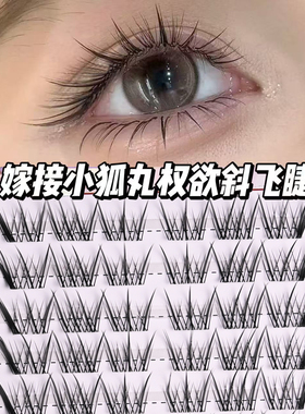 芙莉琳自带眼线感!小狐丸权欲上睫毛自然高级质感钓系感卷翘斜飞