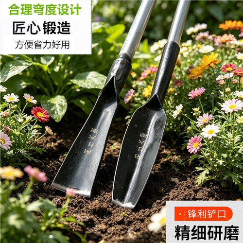 加厚铁锹花铲捡鸡枞菌松土
