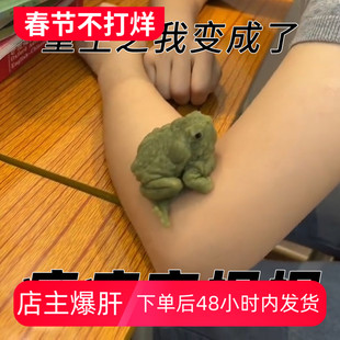 青蛙捏捏乐新奇特仿真癞蛤蟆解压发泄捏捏软胶玩具整蛊同桌小神器