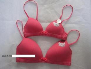 纯棉胸衣三角杯性感无钢圈不变形少女款文胸60A/65A70C/75BC/80BC