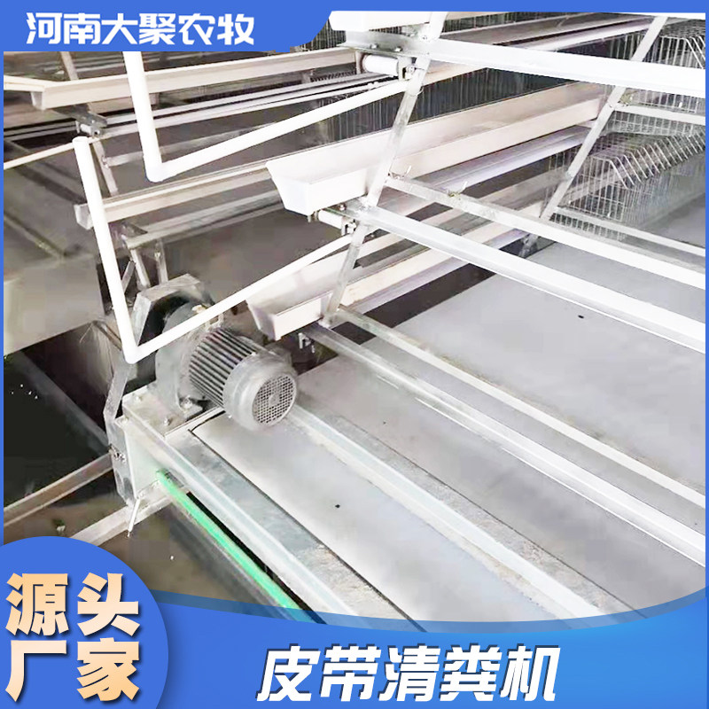 河南大聚 阶梯皮带清粪机 蛋鸡育雏公鸡自动化清粪 鸡笼设备养殖