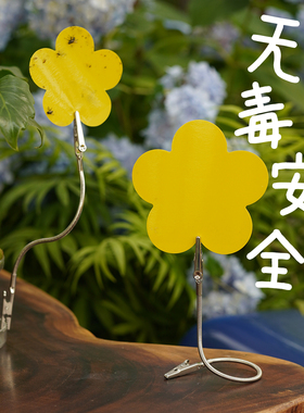 一招解决烦人飞虫/花朵粘虫板/小黄板除虫诱虫神器小黑飞苍蝇蚊子