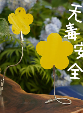 一招解决蓟马小黑飞苍蝇蚊子
