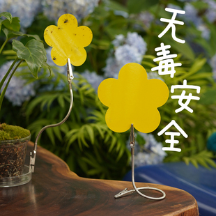 一招解决烦人飞虫/花朵粘虫板/小黄板除虫诱虫神器小黑飞苍蝇蚊子