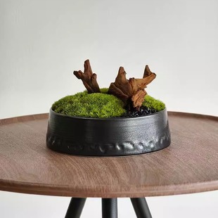 {苔圆}日式苔藓盆景盘子茶室案头茶几摆件售楼处样板房创意盆栽