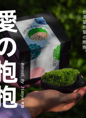 浇芽植物日本匠人设计