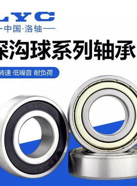正品洛阳LYC轴承6016 6017 6018 6019 6020 6021 6022 6024E RZ Z