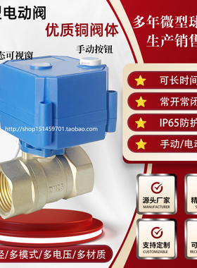 CWX-25S带手动/电动一体微型电动阀1寸DN25 厂家直销带 黄铜水阀