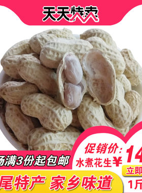 汕尾海丰水煮花生咸煮壳花生