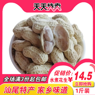 汕尾海丰水煮花生 家乡特产擂咸茶配料今年6份咸干新地豆1斤装