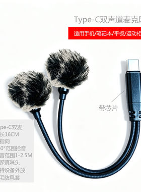 DEMINNA TYPE-C双麦适用手机平板运动相机大疆高保真兼容安卓ios
