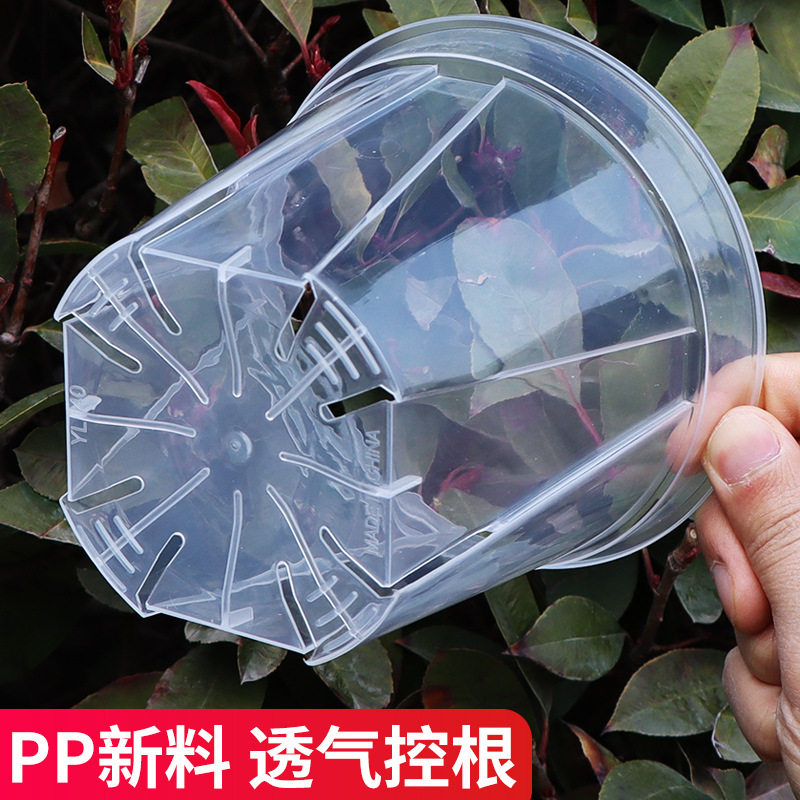 高透明青山盆蝴蝶兰专用控根花盆图片