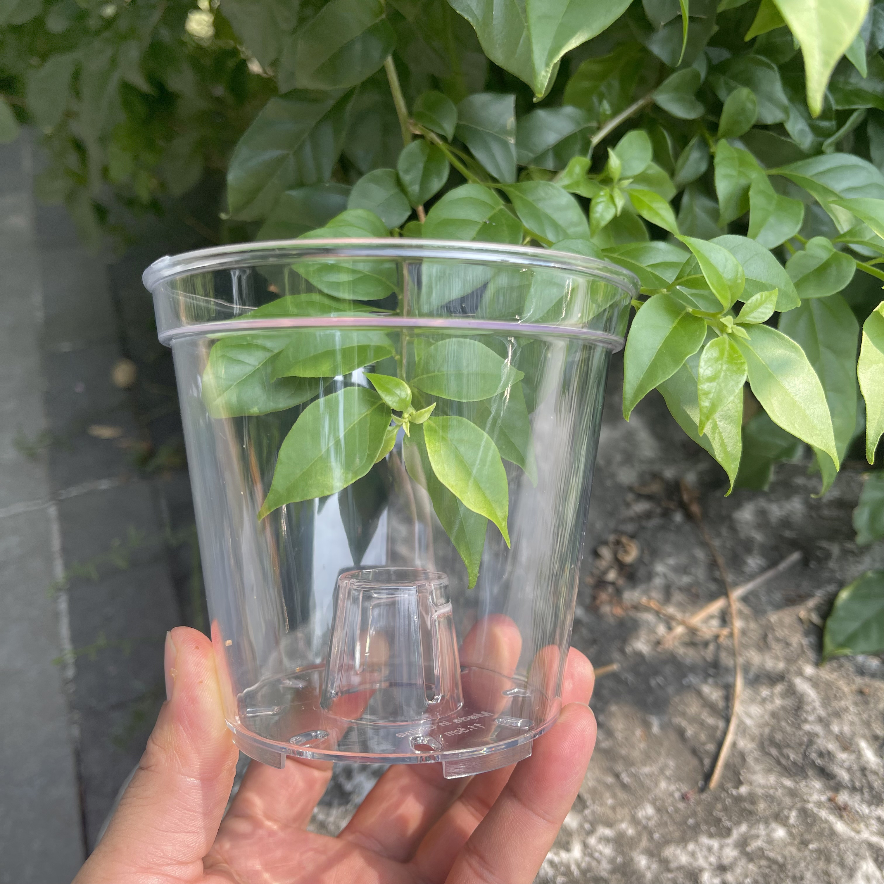 蝴蝶兰透气控根水培观根花盆塑料