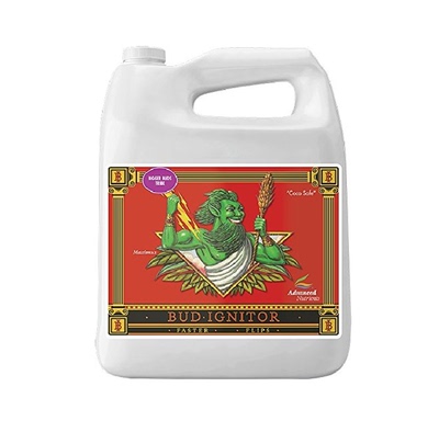 花芽增大多生长肥绿植花卉开花肥