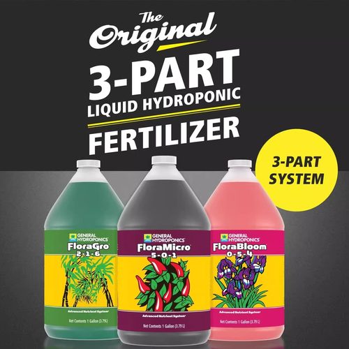 GeneralHydroponics蝴蝶兰开花